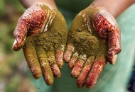 Растительное окрашивание снова в наличии Растительное окрашивание снова в наличии