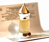 Нарцисс жонкиль абсолют