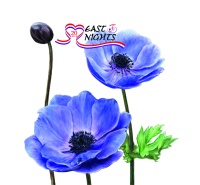 Юбилейный год EAST NIGHTS – 20 лет!