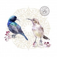 Рождение проекта