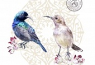 Рождение проекта Рождение проекта