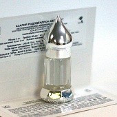 Рододендрон душистый (азалия) абсолют