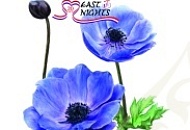 Юбилейный год EAST NIGHTS – 20 лет! Юбилейный год EAST NIGHTS – 20 лет!