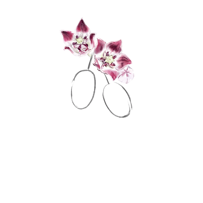 Продукты питания